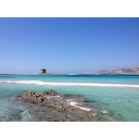 รูปถ่าย อิตาลี(Italy) ซาร์ดิเนีย(Sardinia) แหลมกาโปเดลฟัลโกเน(Capo del Falcone) 2015-06 66