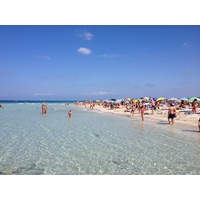รูปถ่าย อิตาลี(Italy) ซาร์ดิเนีย(Sardinia) แหลมกาโปเดลฟัลโกเน(Capo del Falcone) 2015-06 62