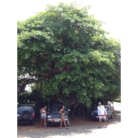 รูปถ่าย คอสตาริกา(Costa Rica) ฆาโก(Jaco) 2015-03 18