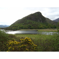 รูปถ่าย ไอร์แลนด์(Ireland) เคอร์รี่(Kerry) สวนสาธารณะคิลลาร์นีย์เนชั่นเนล(Killarney National Park) 2004-05 35