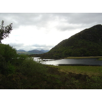 รูปถ่าย ไอร์แลนด์(Ireland) เคอร์รี่(Kerry) สวนสาธารณะคิลลาร์นีย์เนชั่นเนล(Killarney National Park) 2004-05 34