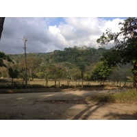 รูปถ่าย คอสตาริกา(Costa Rica) โดมินิกัล(Dominical) 2015-03 125