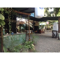 รูปถ่าย คอสตาริกา(Costa Rica) โดมินิกัล(Dominical) 2015-03 118