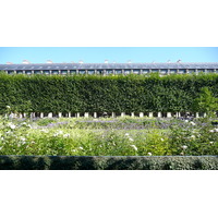รูปถ่าย ฝรั่งเศส(France) ปารีส(Paris) พระราชวังปาแลรัวยาล(Palais Royal) 2007-08 26