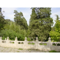 รูปถ่าย จีน(China) ปักกิ่ง(Beijing) สวนสาธารณะจิ่งซาน(Beihai Park) 2002-05 13