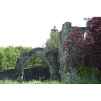 รูปถ่าย อังกฤษ(United Kingdom) สกอตแลนด์(Scotland) อารามอินช์มาโฮม(Inchmahome Priory) 2011-07 12