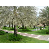 รูปถ่าย สหรัฐอาหรับเอมิเรตส์(United Arab Emirates) ดูไบ(Dubai) โรงแรมเชอราตัน จุมัยเราะห์บีช(Sheraton Jumeirah Beach Hotel) 2005-03 24