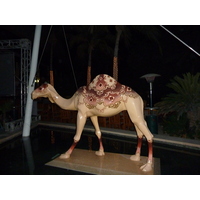 รูปถ่าย สหรัฐอาหรับเอมิเรตส์(United Arab Emirates) ดูไบ(Dubai) โรงแรมจูไมราห์บีช(Jumeirah Beach Hotel) 2009-12 34