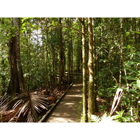 รูปถ่าย นิวแคลิโดเนีย(New Caledonia) อุทยานริเวียร์เบลอ(Parc de la Riviere Bleue) โรงแรมเลอกร็องกาโอรี(Le Grand Kaori) 2010-05 52