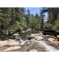 รูปถ่าย ฝรั่งเศส(France) คอร์สิคา(Corsica) ป่าไอโตเน(Aitone Forest) 2021-06 27
