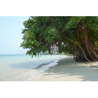 รูปถ่าย ไทย(Thailand) เกาะช้าง(Ko Chang) หาดคลองพร้าว(Klong Prao beach) 2011-02 89
