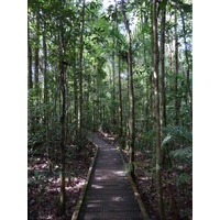 รูปถ่าย นิวแคลิโดเนีย(New Caledonia) อุทยานริเวียร์เบลอ(Parc de la Riviere Bleue) โรงแรมเลอกร็องกาโอรี(Le Grand Kaori) 2010-05 21