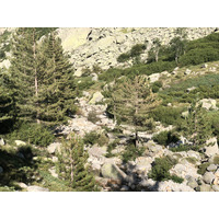 รูปถ่าย ฝรั่งเศส(France) คอร์สิคา(Corsica) หุบเขาลาเรสโตนีกา(La Restonica) 2020-07 20