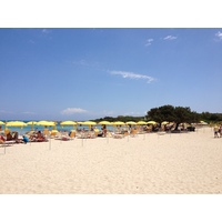 รูปถ่าย อิตาลี(Italy) ซาร์ดิเนีย(Sardinia) แหลมกาโปเดลฟัลโกเน(Capo del Falcone) 2015-06 18