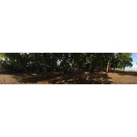 รูปถ่าย คอสตาริกา(Costa Rica) โดมินิกัล(Dominical) 2015-03 115