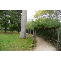 รูปถ่าย อิตาลี(Italy) โรม(Rome) วิลลาชาร์รา(Villa Sciarra) 2007-11 41