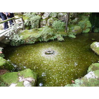 รูปถ่าย ญี่ปุ่น(Japan) เกียวโต(Kyoto) วัดกินกะกุจิ (ศาลาเงิน)(Ginkakuji Temple(Silver Pavilion)) 2010-06 34