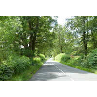 รูปถ่าย อังกฤษ(United Kingdom) ทรอสซักส์(The Trossachs) 2011-07 0