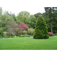 รูปถ่าย ไอร์แลนด์(Ireland) เคอร์รี่(Kerry) สวนสาธารณะคิลลาร์นีย์เนชั่นเนล(Killarney National Park) บ้านมัครอส(Muckross House) 2004-05 39