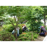 รูปถ่าย ญี่ปุ่น(Japan) เกียวโต(Kyoto) วัดซันจูซังเก็นโด(Sanjusangendo temple) 2010-06 12