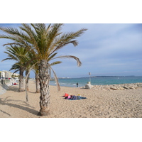 รูปถ่าย ฝรั่งเศส(France) ม็องเดอลีเยอ(Mandelieu) 2008-03 36