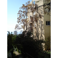 รูปถ่าย อิสราเอล(Israel) ไฮฟา(Haifa) คาร์เมล(Carmel) 2006-12 104