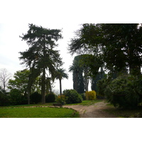 รูปถ่าย อิตาลี(Italy) โรม(Rome) วิลลาชาร์รา(Villa Sciarra) 2007-11 26
