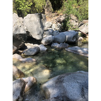 รูปถ่าย ฝรั่งเศส(France) คอร์สิคา(Corsica) หุบเขาลาเรสโตนีกา(La Restonica) 2020-07 136