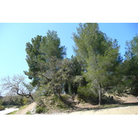 รูปถ่าย ฝรั่งเศส(France) สะพานปงดูการ์(Pont du Gard) 2008-04 84