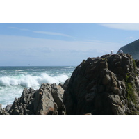 รูปถ่าย แอฟริกาใต้(South Africa) อุทยานแห่งชาติซิตซิคัมมา(Tsitsikamma National Park) 2008-09 253