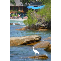 รูปถ่าย ไทย(Thailand) เกาะเสม็ด(Ko Samet) อ่าววงเดือน(Ao Wong Duan) 2009-01 11