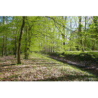 รูปถ่าย ฝรั่งเศส(France) ปราสาทเชอนงโซ(Chenonceau Castle) สวนปราสาทเชอนงโซ(Gardens of Chenonceau) 2008-04 23