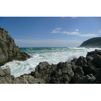 รูปถ่าย แอฟริกาใต้(South Africa) อุทยานแห่งชาติซิตซิคัมมา(Tsitsikamma National Park) 2008-09 281