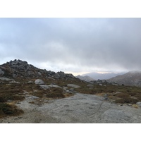 รูปถ่าย ฝรั่งเศส(France) คอร์สิคา(Corsica) อัลตาร็อกกา(Alta Rocca) 2017-09 25