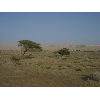 รูปถ่าย โอมาน(Oman) จากบูไมิไปถนนมาฮาดา(Buraimi to Mahada road) 2005-03 1