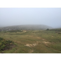 รูปถ่าย ฝรั่งเศส(France) คอร์สิคา(Corsica) อัลตาร็อกกา(Alta Rocca) 2017-09 8