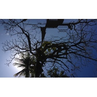 รูปถ่าย ปานามา(Panama) ซานการ์โลส(San Carlos) 2015-03 65