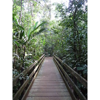 รูปถ่าย นิวแคลิโดเนีย(New Caledonia) อุทยานริเวียร์เบลอ(Parc de la Riviere Bleue) โรงแรมเลอกร็องกาโอรี(Le Grand Kaori) 2010-05 36