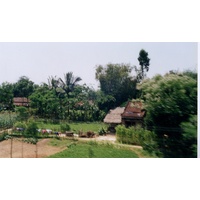 รูปถ่าย เวียดนาม(Vietnam) 1996-03 45