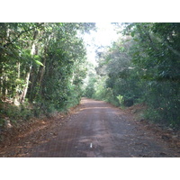 รูปถ่าย นิวแคลิโดเนีย(New Caledonia) อุทยานริเวียร์เบลอ(Parc de la Riviere Bleue) 2010-05 162