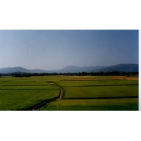 รูปถ่าย เวียดนาม(Vietnam) 1996-03 77