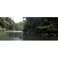 รูปถ่าย คอสตาริกา(Costa Rica) แม่น้ำปากัวเร(Pacuare River) 2015-03 66