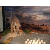 รูปถ่าย ฝรั่งเศส(France) ปารีส(Paris) ปาเลเดอลาเดกูแวร์ต(Palace of Discovery) 2006-04 57