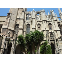 รูปถ่าย ฝรั่งเศส(France) นาร์บอน(Narbonne) 2009-07 113