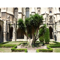 รูปถ่าย ฝรั่งเศส(France) นาร์บอน(Narbonne) 2009-07 121