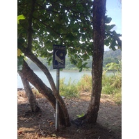 รูปถ่าย คอสตาริกา(Costa Rica) โดมินิกัล(Dominical) 2015-03 58