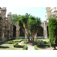 รูปถ่าย ฝรั่งเศส(France) นาร์บอน(Narbonne) 2009-07 118