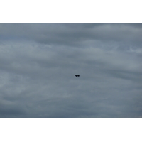รูปถ่าย อังกฤษ(United Kingdom) สกอตแลนด์(Scotland) แกร์ลอค(Gairloch) 2011-07 122