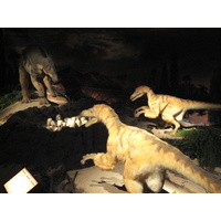 รูปถ่าย ฝรั่งเศส(France) ปารีส(Paris) ปาเลเดอลาเดกูแวร์ต(Palace of Discovery) 2006-04 11