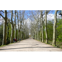 รูปถ่าย ฝรั่งเศส(France) ปราสาทเชอนงโซ(Chenonceau Castle) สวนปราสาทเชอนงโซ(Gardens of Chenonceau) 2008-04 70